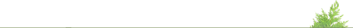 66 (1).png